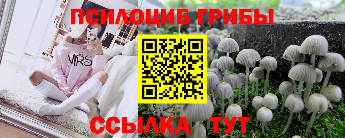 Псилоцибиновые грибы Magic Shrooms  Вход с VPN  Бор 
