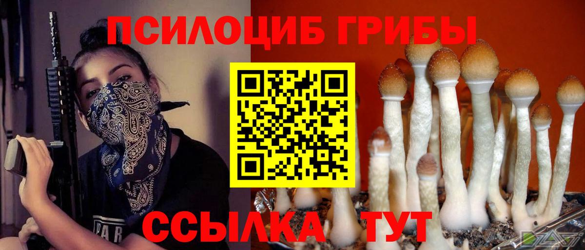 Галлюциногенные грибы Cubensis Бор